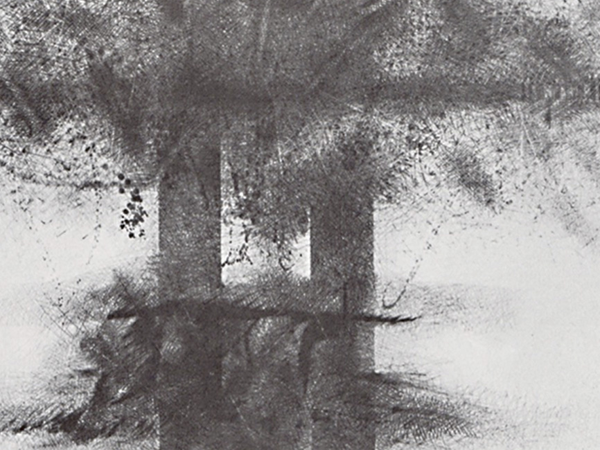 Doppelsäule (Lanyon Quoit), 1979